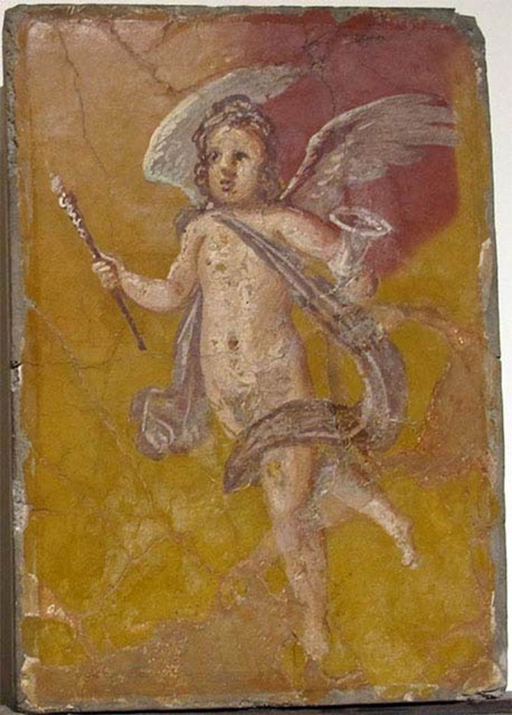 Villa dei Papiri, Herculaneum. Fresco of winged cupid with cup and baton.
Now in Naples Archaeological Museum. Inventory number 9319. 
