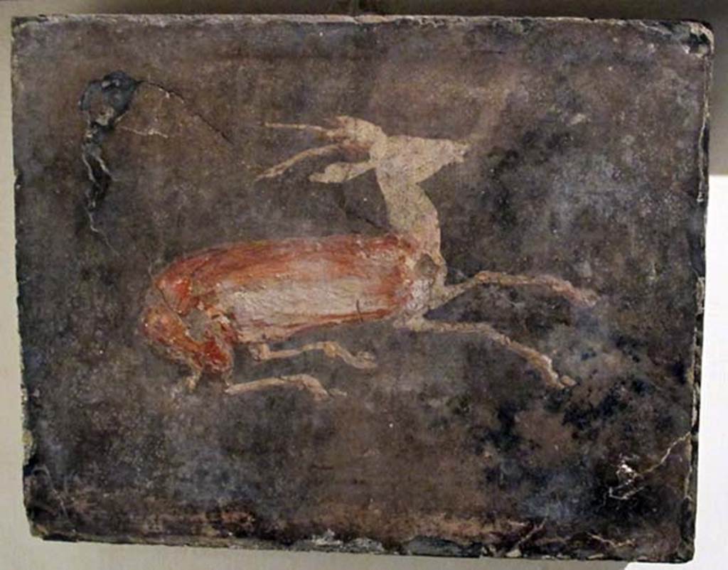 Villa dei Papiri, Herculaneum. Fresco of goat. 
Now in Naples Archaeological Museum. Inventory number 9902.

