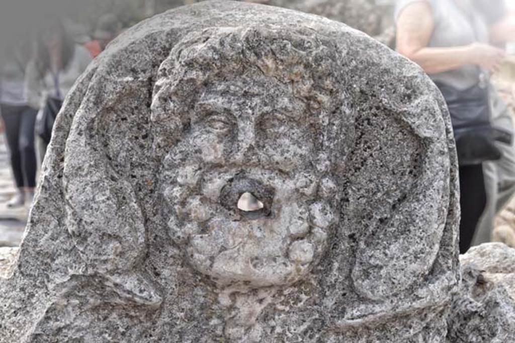 Cardo V, Herculaneum, April 2018. Detail of mask of Neptune, fountain near IV.15/16. 
Photo courtesy of Ian Lycett-King. Use is subject to Creative Commons Attribution-NonCommercial License v.4 International.
