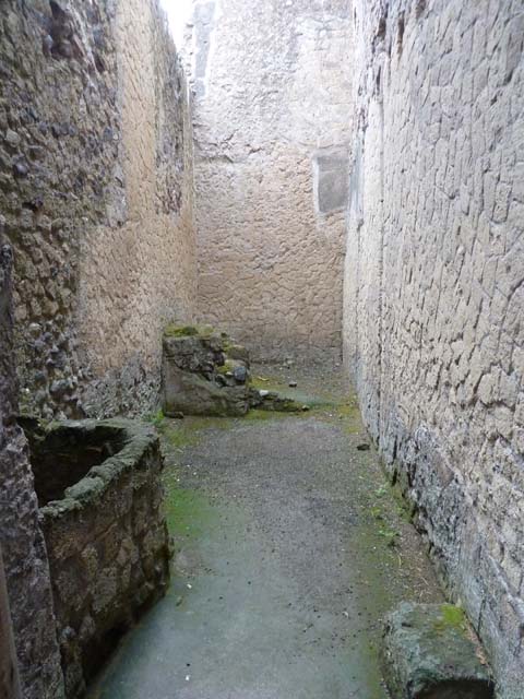 III.11 Herculaneum. August 2013. Room 6, detail of grondaie in compluvium. Photo courtesy of Buzz Ferebee.
