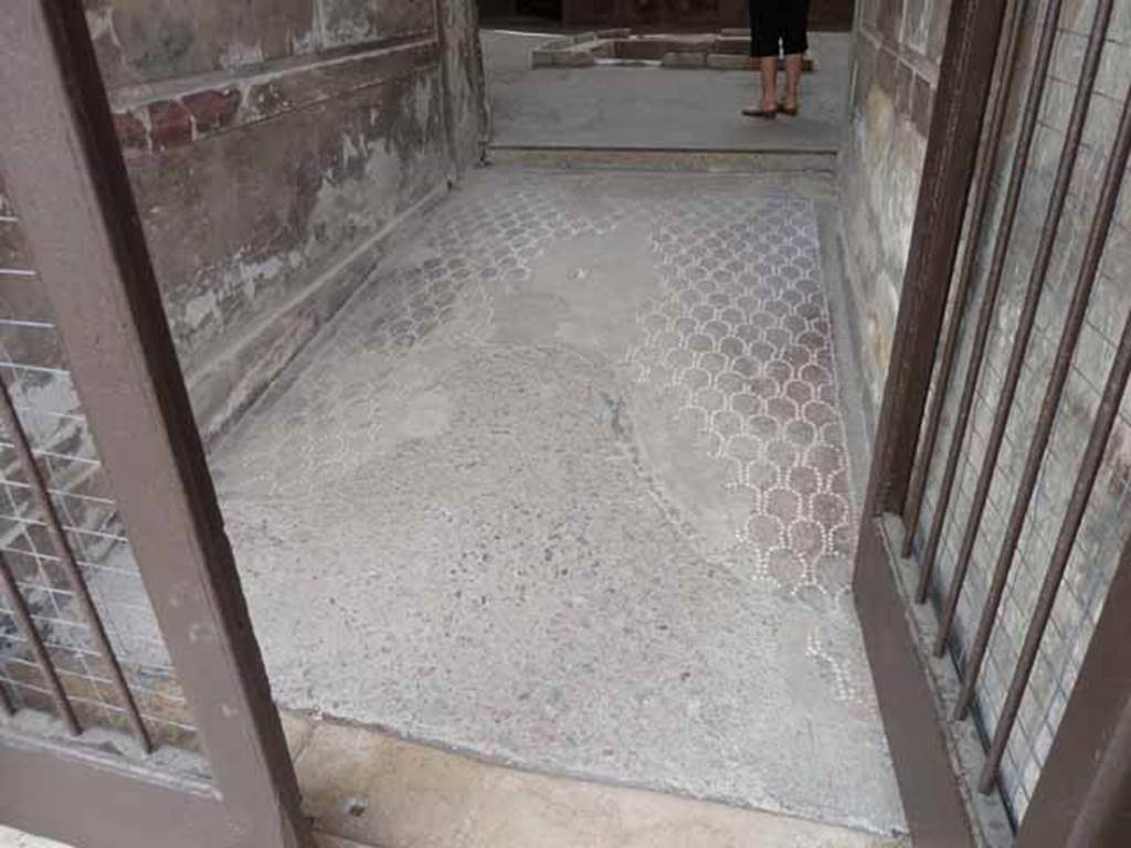 V.1. May 2010. The Samnite House doorway, with a floor of opus signinum in the entrance corridor.