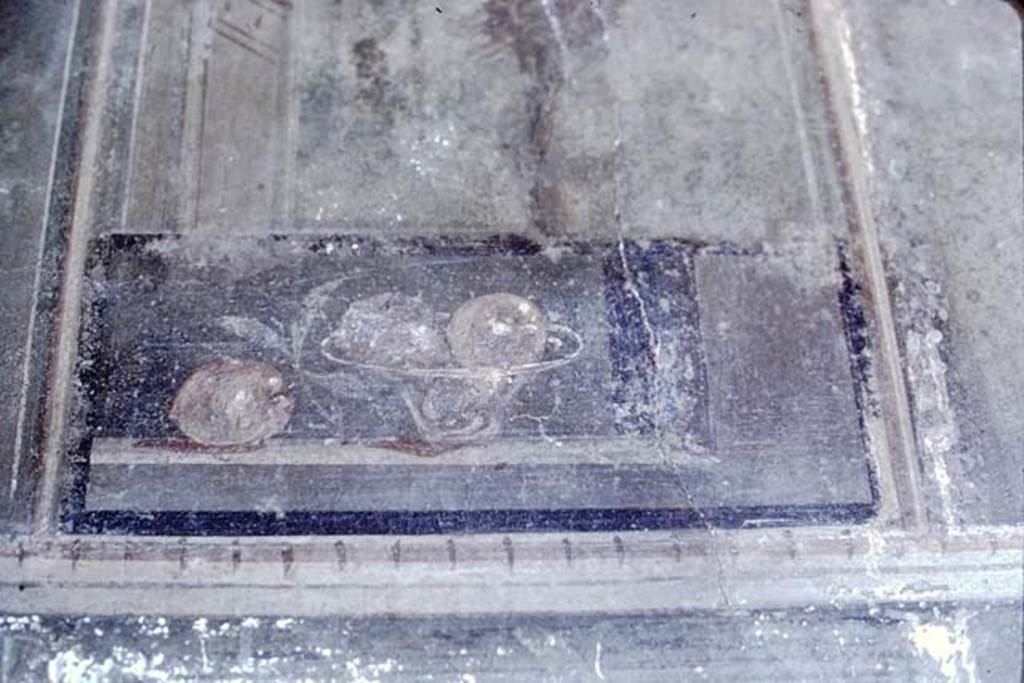 Ins.V.1, Herculaneum, 1968. Detail from panel in north wall at west end. Photo by Stanley A. Jashemski.
Source: The Wilhelmina and Stanley A. Jashemski archive in the University of Maryland Library, Special Collections (See collection page) and made available under the Creative Commons Attribution-Non Commercial License v.4. See Licence and use details. J68f1850