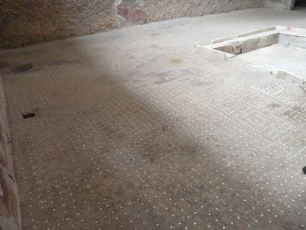 V.1 Herculaneum. May 2010. Atrium flooring, looking south from near room 8.