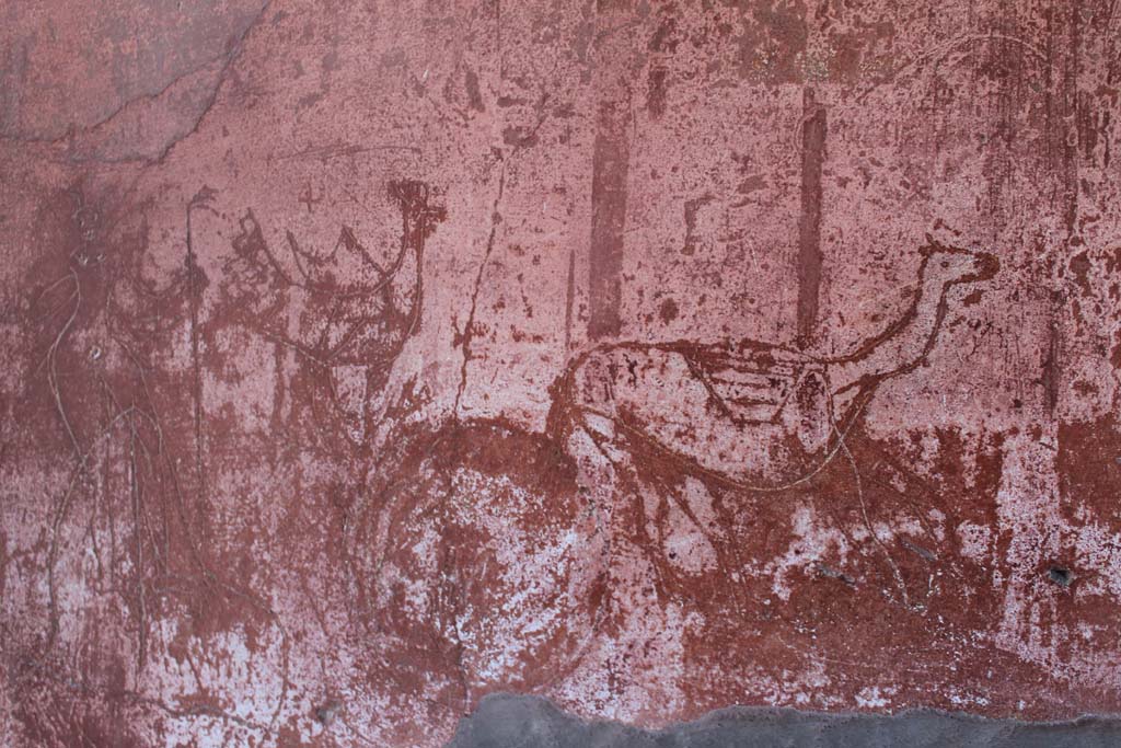 V.1 Herculaneum. March 2014. Room 2, graffiti from south wall. 
Foto Annette Haug, ERC Grant 681269 DÉCOR.

